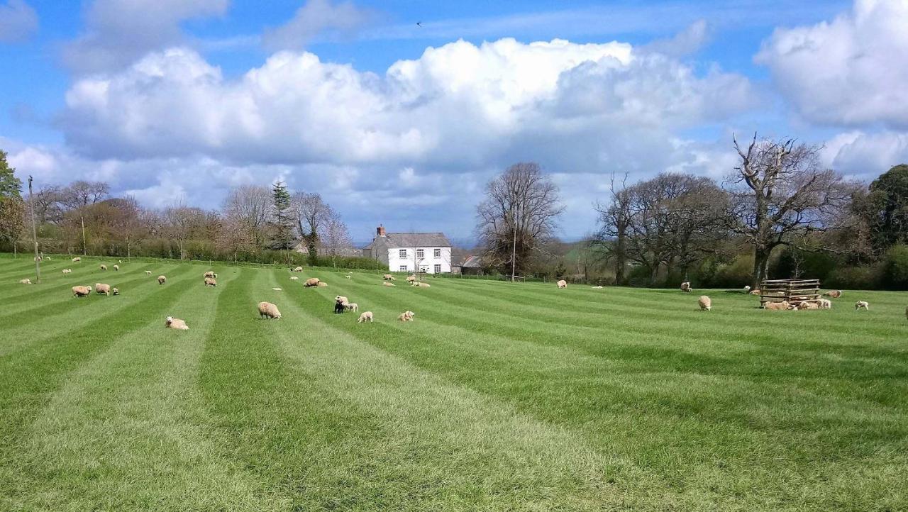 Lovaton Farmhouse Okehampton Exteriér fotografie