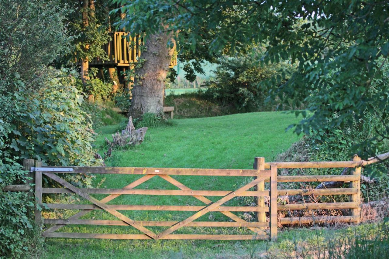 Lovaton Farmhouse Okehampton Exteriér fotografie