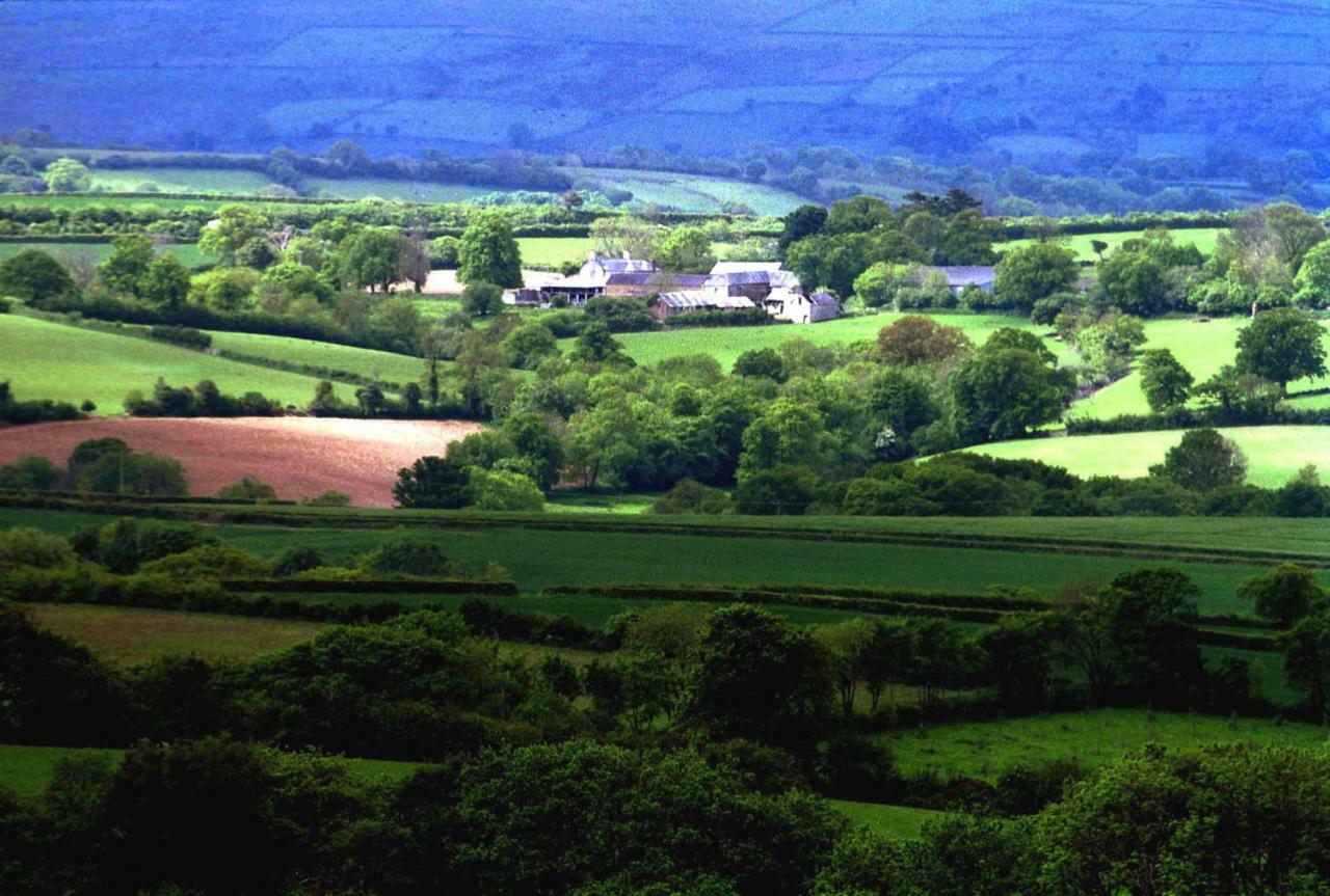 Lovaton Farmhouse Okehampton Exteriér fotografie
