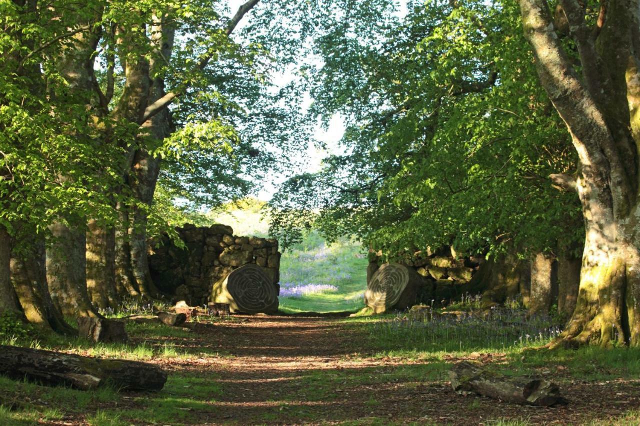 Lovaton Farmhouse Okehampton Exteriér fotografie