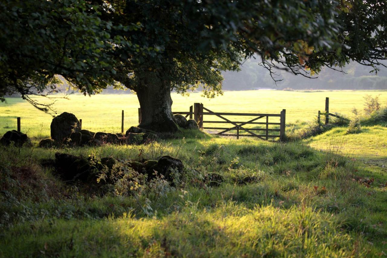 Lovaton Farmhouse Okehampton Exteriér fotografie